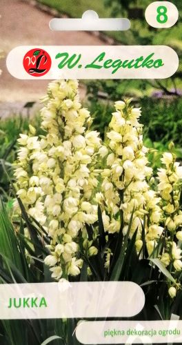 Yucca Filamentosa Seeds